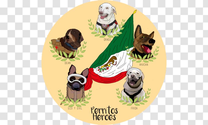 Mexico City 2017 Central Earthquake Search And Rescue Dog Rescuer Newfoundland - Label - Ernesto De La Cruz Coco Transparent PNG