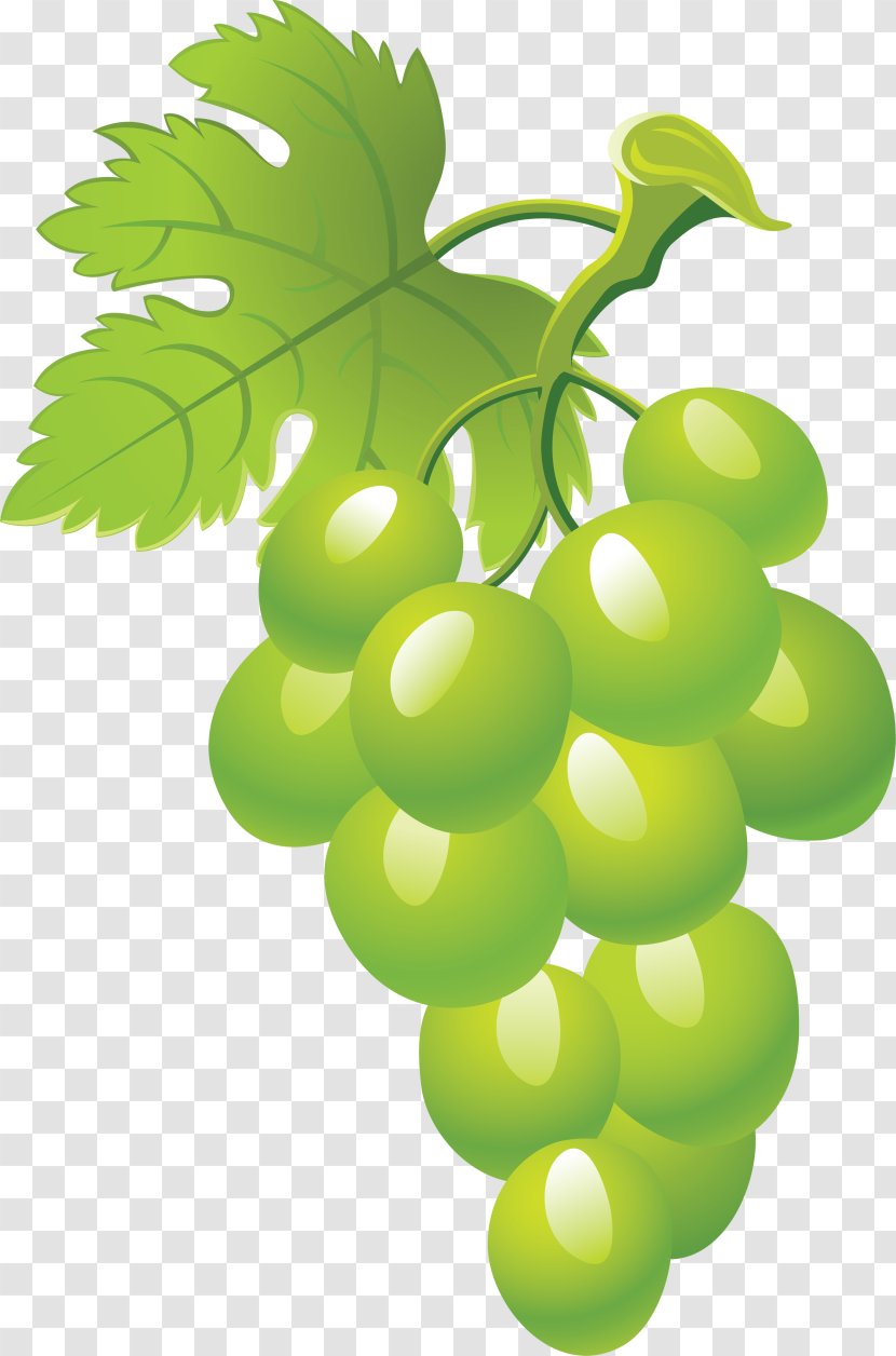 Common Grape Vine Fruit Clip Art - Seedless Transparent PNG