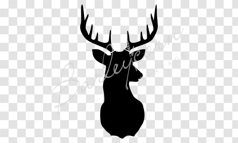 Deer Silhouette Moose Stencil Photography - Mammal Transparent PNG