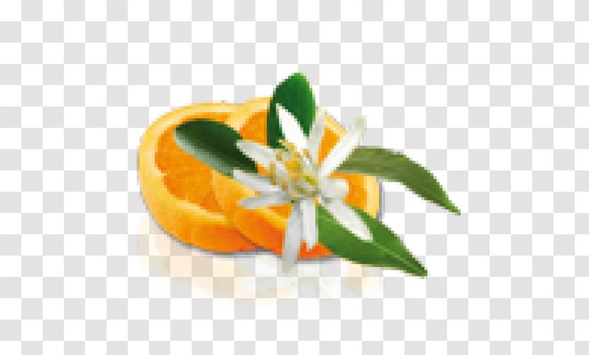 Orange Blossom Flower Water Cream Flavor - Greipfrutas Transparent PNG