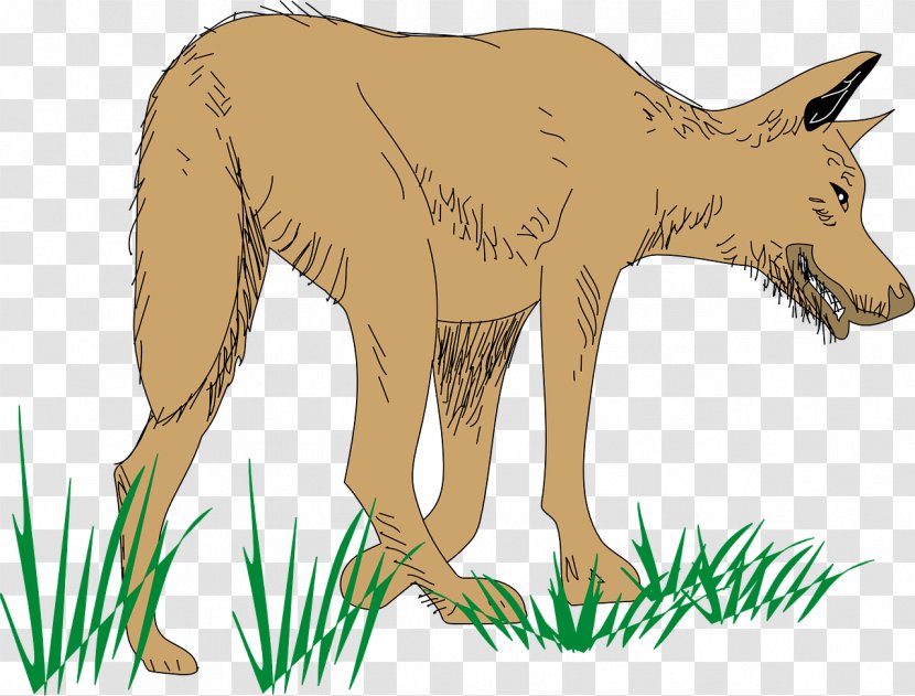 Dog Clip Art - Tail - Hungry Wolf Transparent PNG