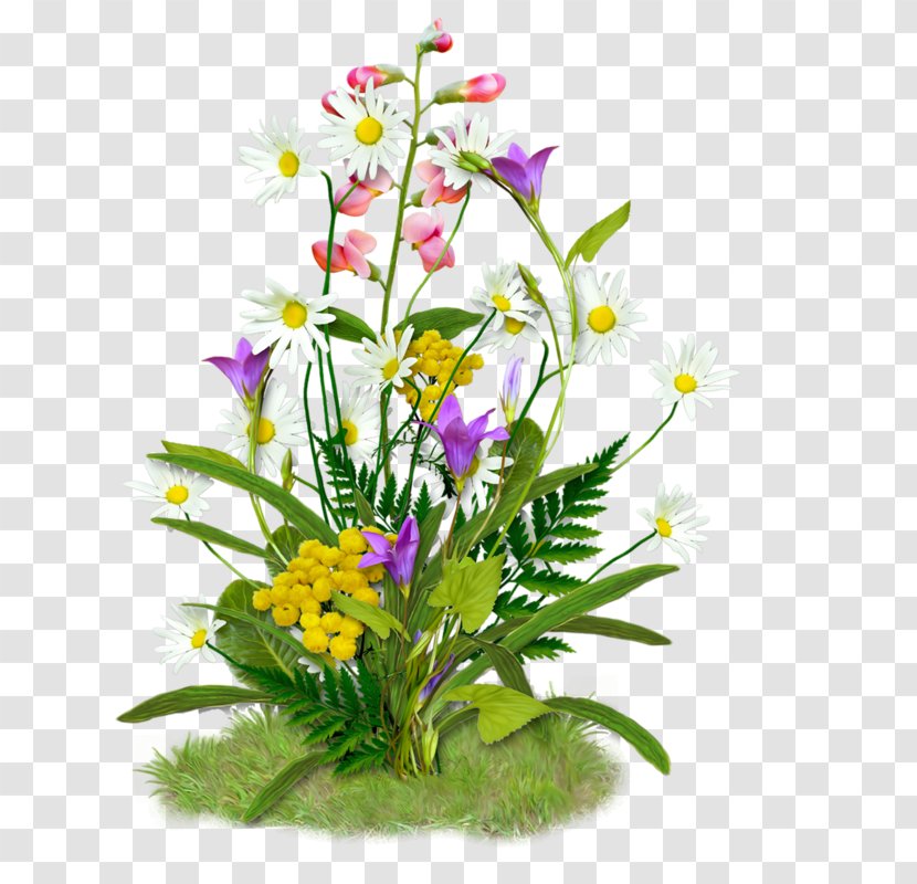 Image Spring GIF Flower - Floral Design Transparent PNG