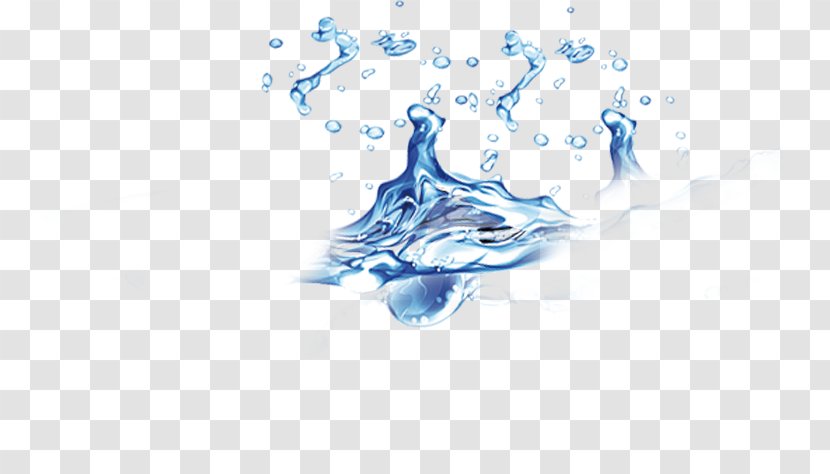 Drawing Affinity Water Illustration - Organism Transparent PNG