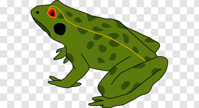 Frog Amphibians Tadpole Cane Toad Human Body - Cutaneous Respiration - Grenouille Verte Transparent PNG