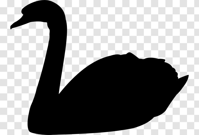 The Black Swan: Impact Of Highly Improbable Goose Trumpeter Swan Bird Transparent PNG