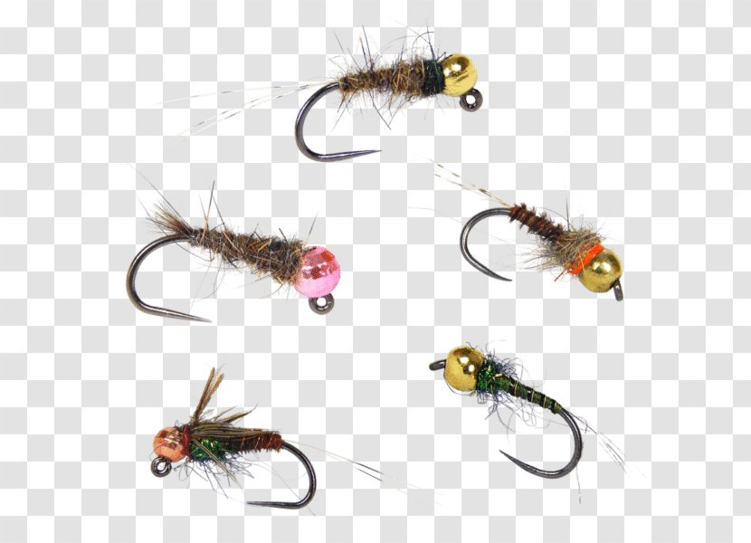 Artificial Fly Fishing Trout Bum - Membrane Winged Insect - Nymph Transparent PNG