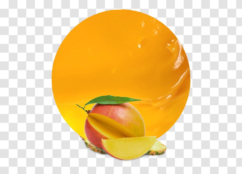 Mango Still Life Photography Leaf - Peach Transparent PNG