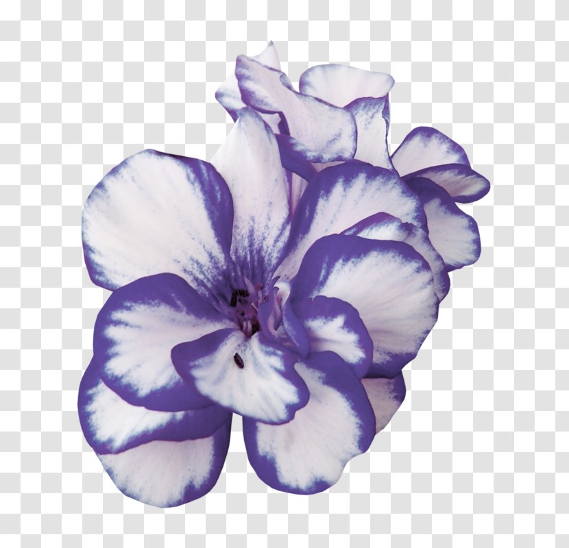 Centerblog Violet Magnolia Mauve - Flower - Parm Transparent PNG