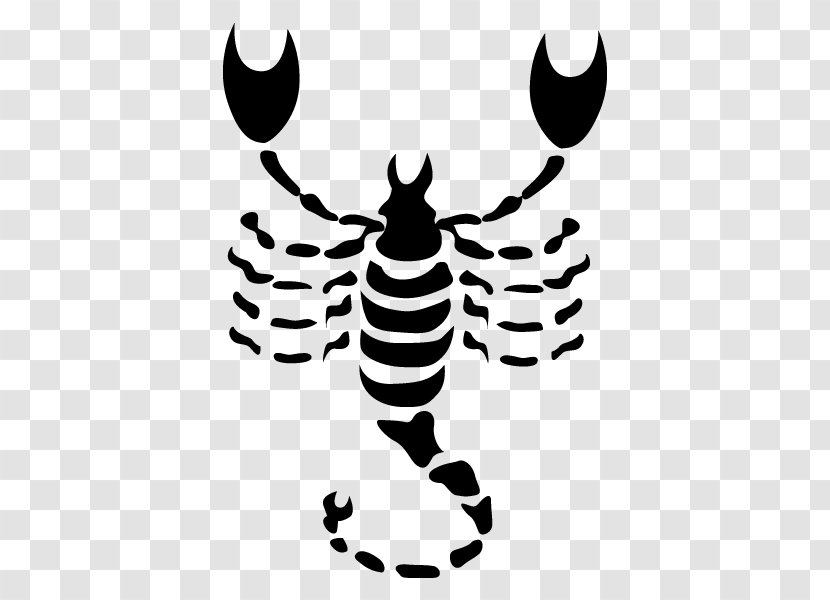 Scorpio Astrological Sign Sun Astrology Sagittarius - Zodiac Transparent PNG