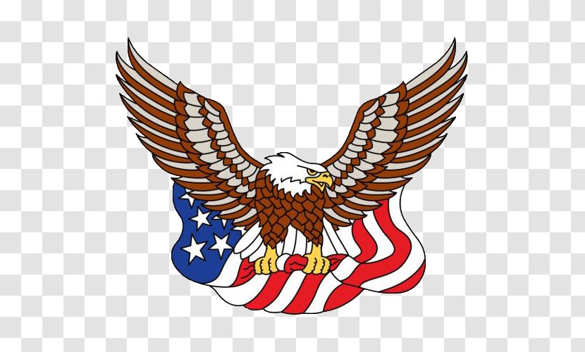 Flag Of The United States Eagle - Accipitriformes - Whitehead And American Transparent PNG