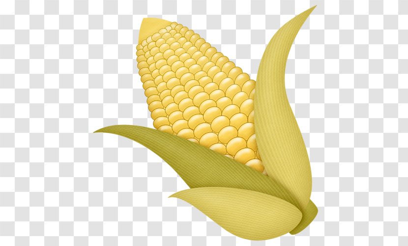 Corn On The Cob Fruit Autumn Clip Art Transparent PNG