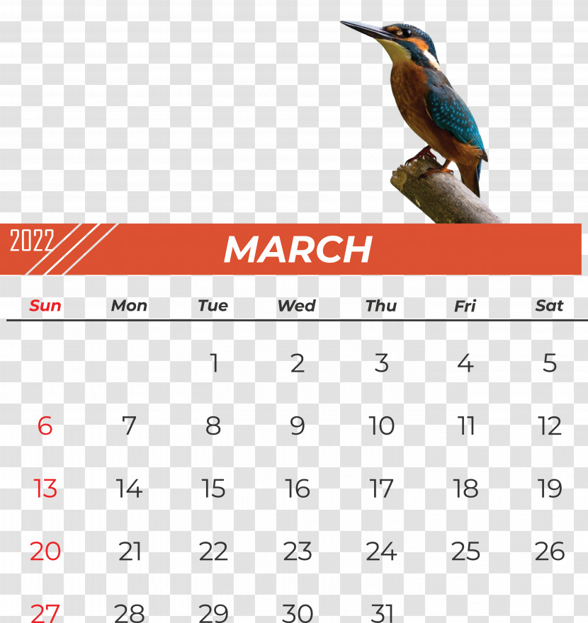Birds Beak Calendar Font Research Transparent PNG