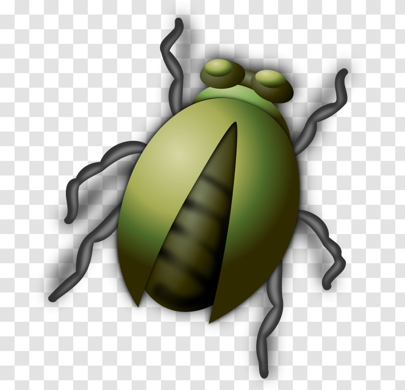 Beetle Free Content Clip Art - Product Design - Bug Transparent PNG