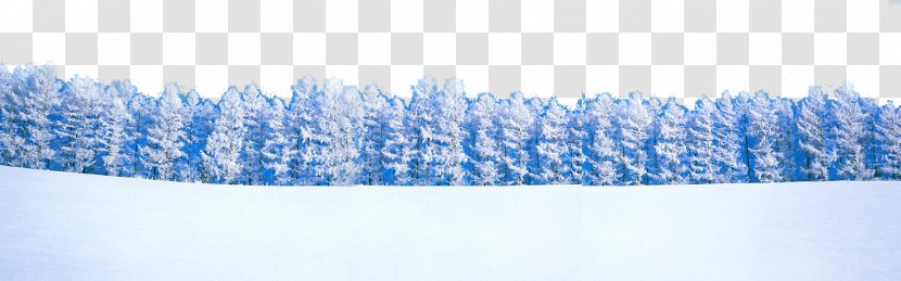 Winter Landscape Snow - Pegasus Window Transparent PNG