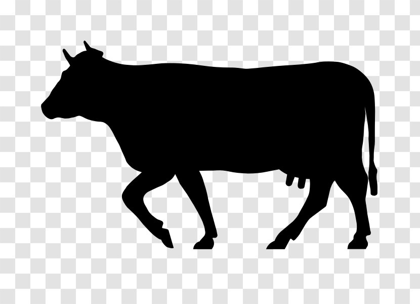 Angus Cattle Salers Charolais Beefmaster Zebu - Bull Transparent PNG