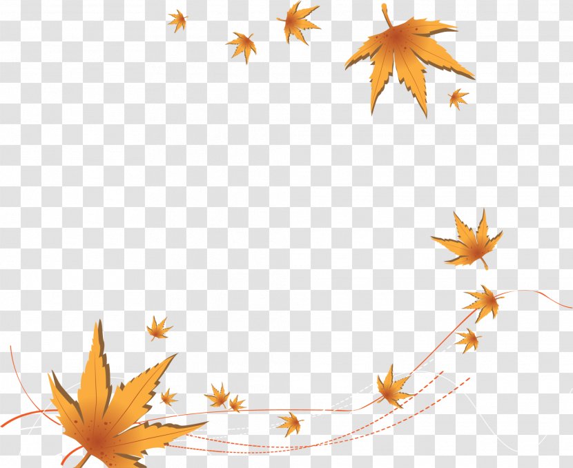 Autumn Leaf Euclidean Vector - Yellow Maple Leaves Transparent PNG