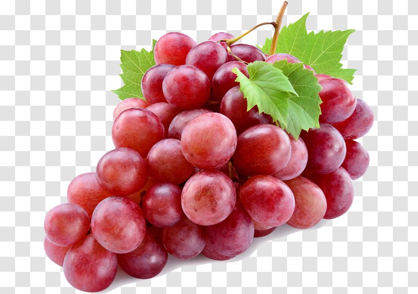 Common Grape Vine Red Wine Globe - Watercolor Transparent PNG