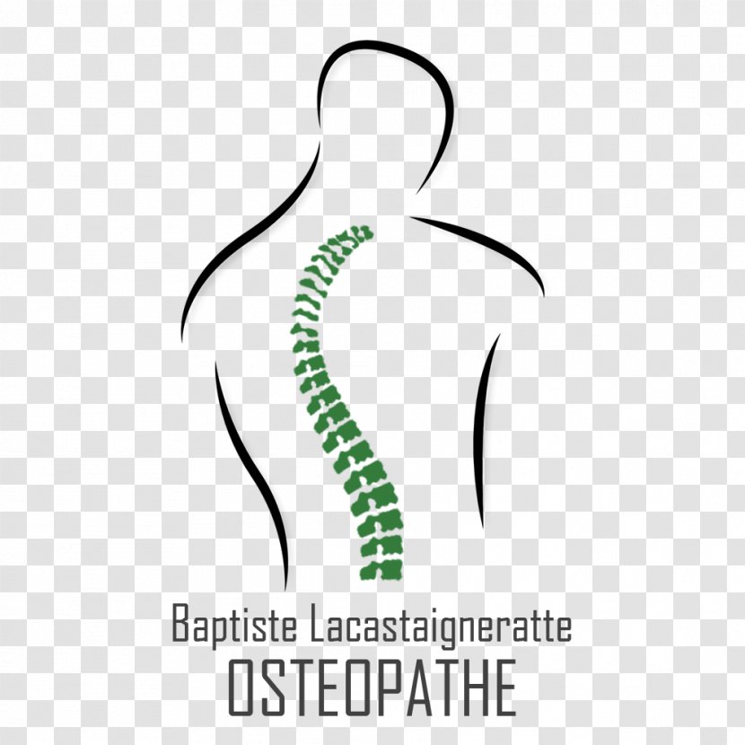 NB Webdesign Osteopathy Place Kennedy Doctor Of Osteopathic Medicine - Cartoon - Osteopathe Transparent PNG