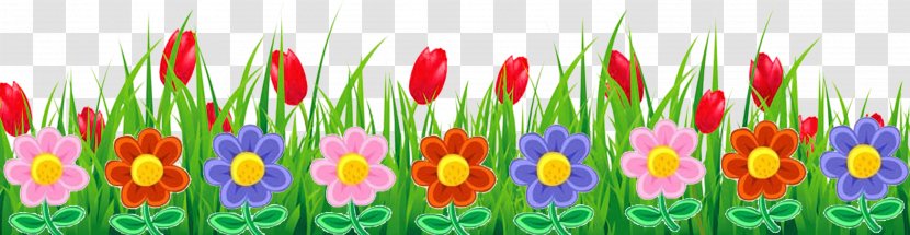 Flower Clip Art - Tulip - Flowers And Plants Transparent PNG