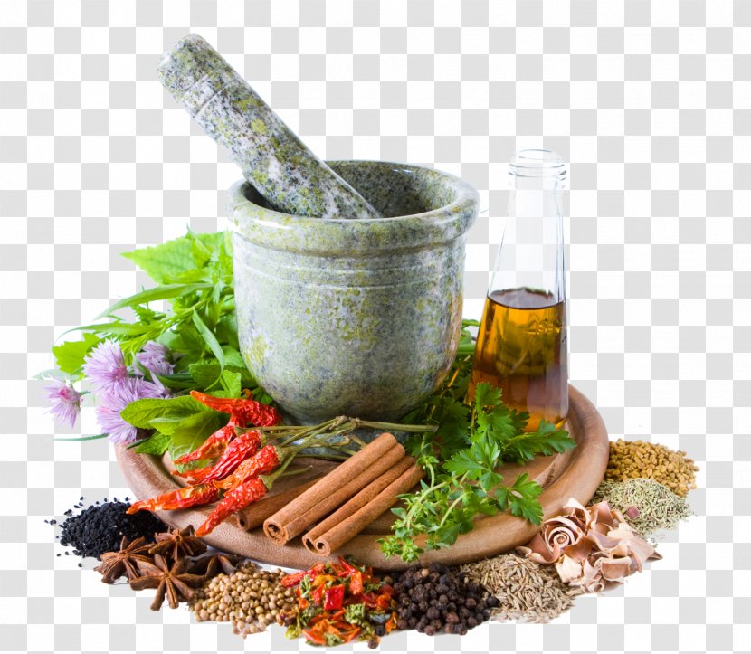 Herbalism Traditional Medicine Alternative Health Services Transparent PNG