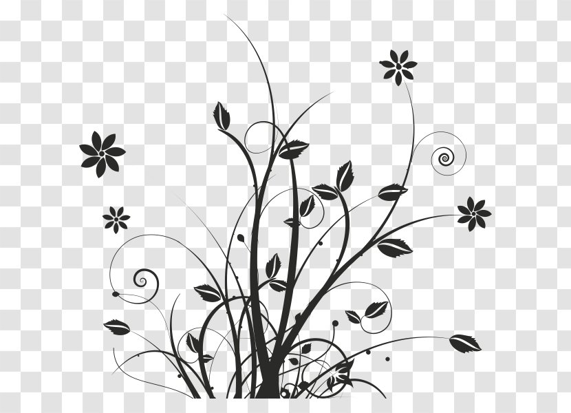 Phonograph Record Drawing Floral Design - Flowering Plant - Black And White Transparent PNG