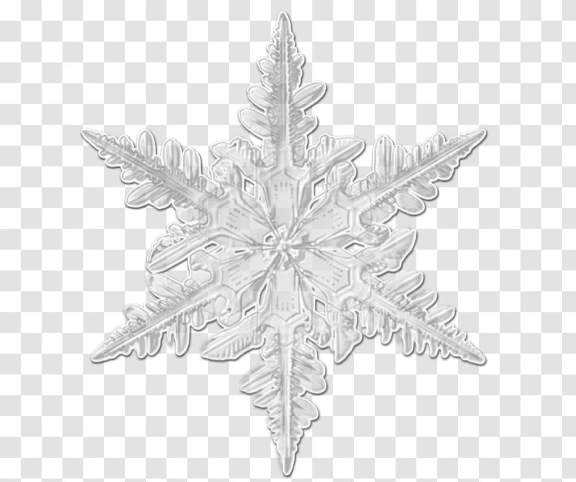 Snowflake Christmas Day Ornament White - Tree Transparent PNG
