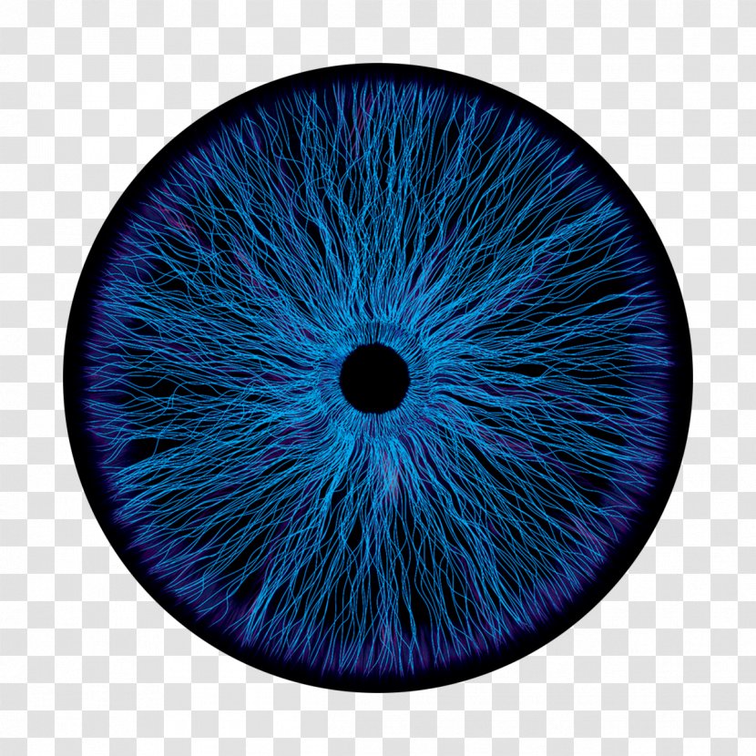Blue Cheese Organism Silk Gobo - Eye - Apolo Design Element Transparent PNG