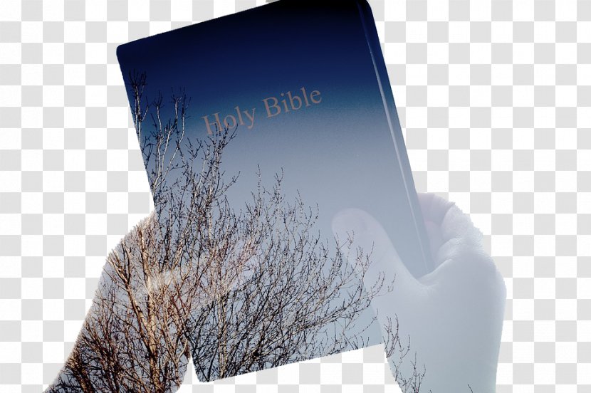 Bible Study New Testament God's Word Translation Religious Text - Truth - Creative Books Transparent PNG