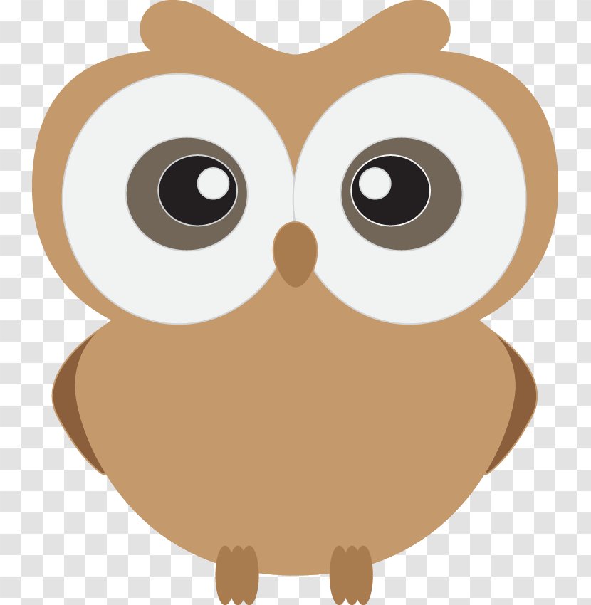 Owl Drawing Clip Art - Snout Transparent PNG