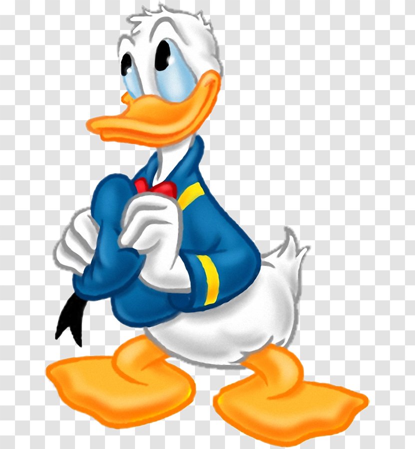 Donald Duck Daisy Scrooge McDuck - Walt Disney Company Transparent PNG