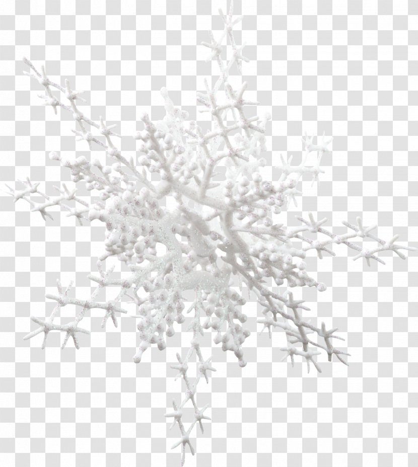 Snowflake Christmas Kholm, Kholmsky District, Novgorod Oblast Clip Art - Twig - Snow Transparent PNG