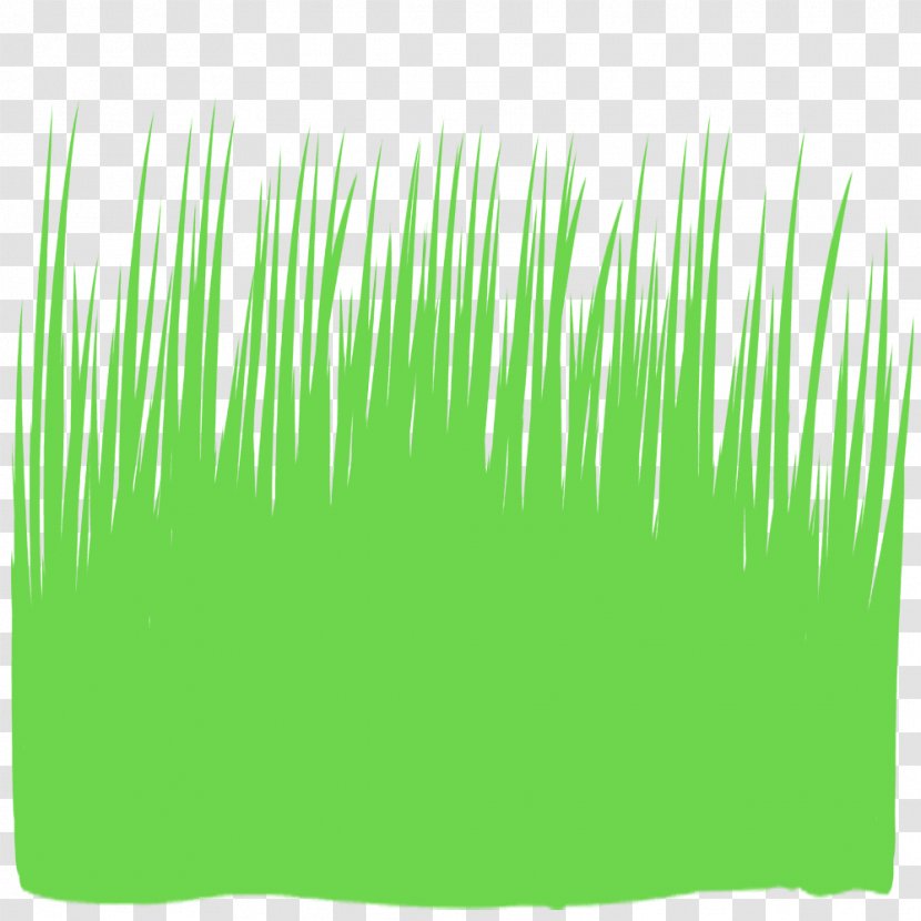 Grass Illustration Silhouette Weed Text - Plant Transparent PNG