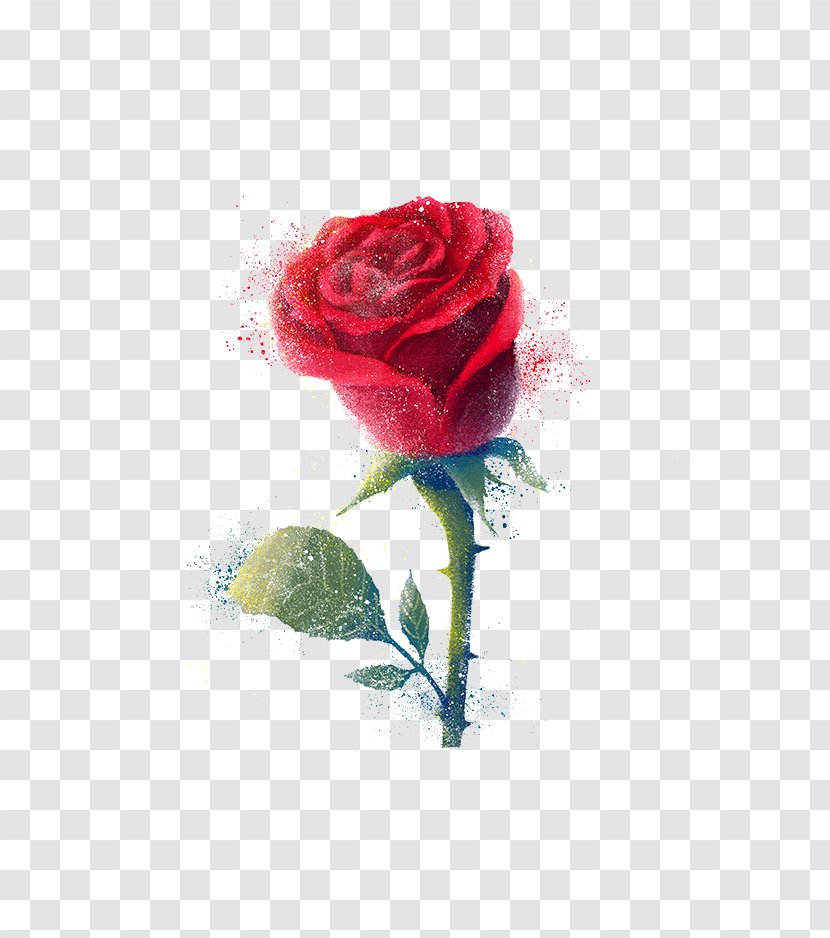 Beach Rose Android Samsung Galaxy Note - Cut Flowers Transparent PNG