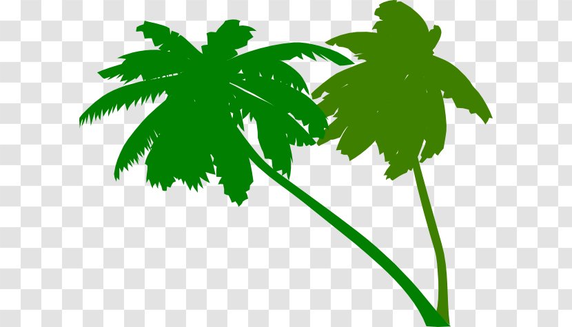 Arecaceae Tree Clip Art - California Palm - Green Leaves Transparent PNG