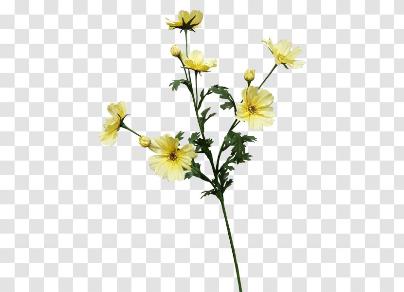 Cut Flowers Flowering Plant Stem - Yellow Spray Transparent PNG