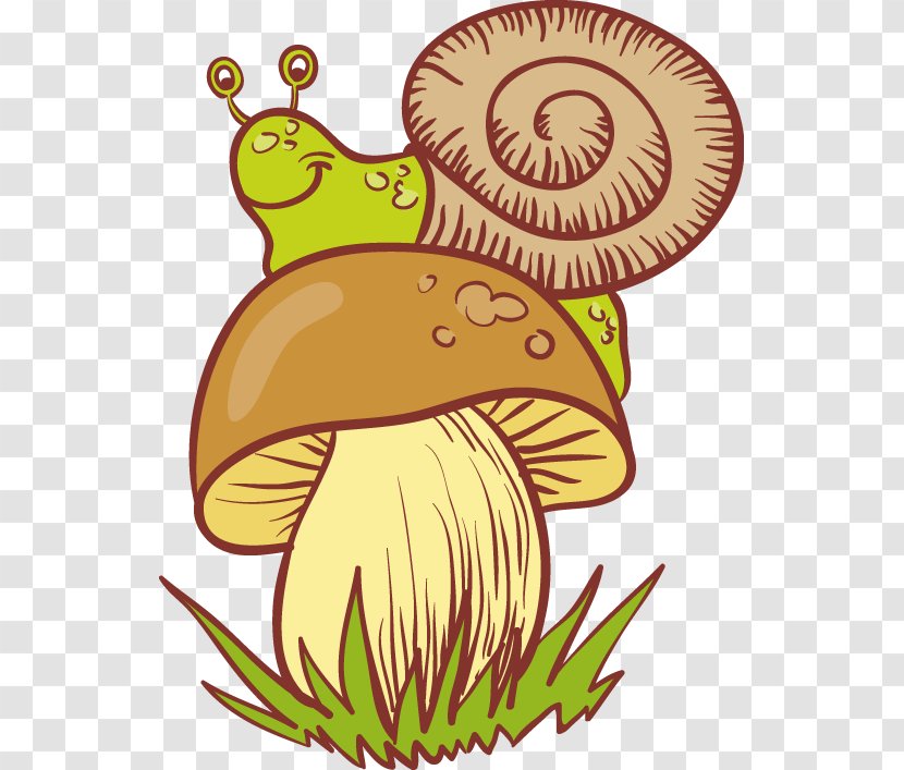 Snail Clip Art Mushroom Image - Snails And Slugs Transparent PNG