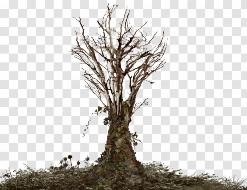 Common Ivy Tree Snag Clip Art - Root - Dead Transparent PNG