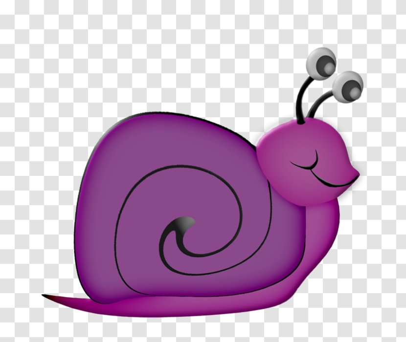 Snail Drawing Polymita Picta Clip Art - Stock Photography Transparent PNG