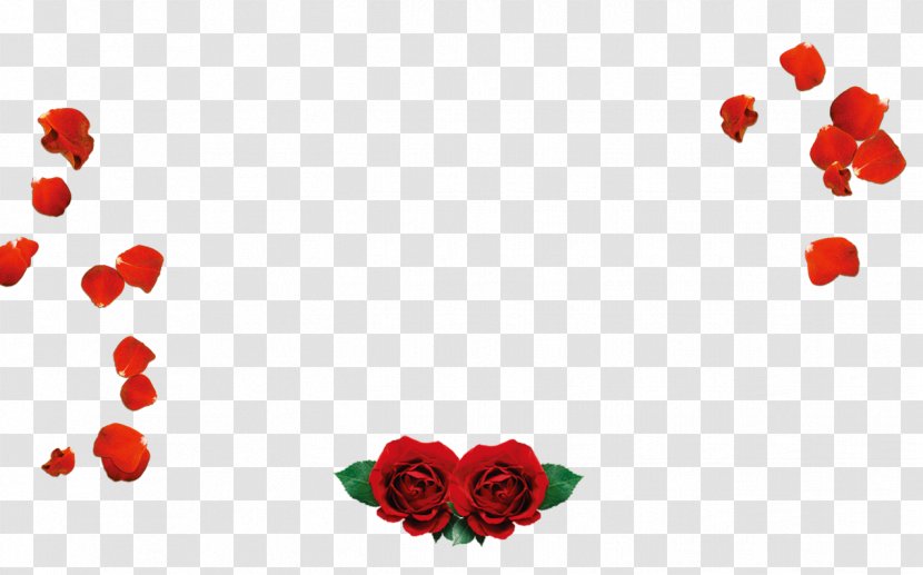 Petal Beach Rose Valentines Day Love Red - Valentine S - Petals Transparent PNG