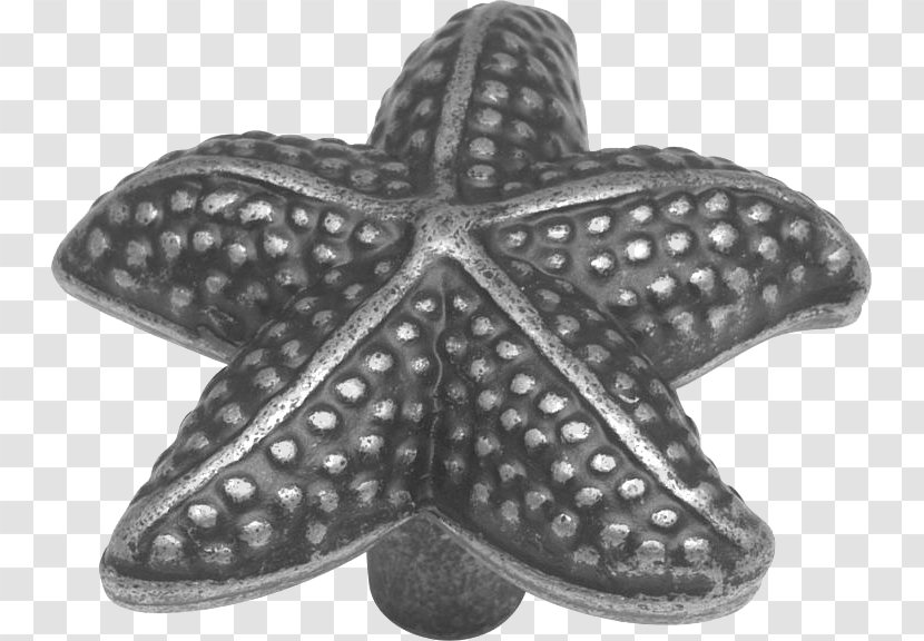 Starfish Drawer Pull Pewter Cabinetry - Marine Invertebrates Transparent PNG