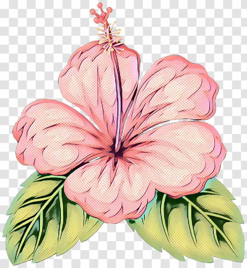 Rosemallows Floral Design Cut Flowers - Malvales - Pink M Transparent PNG