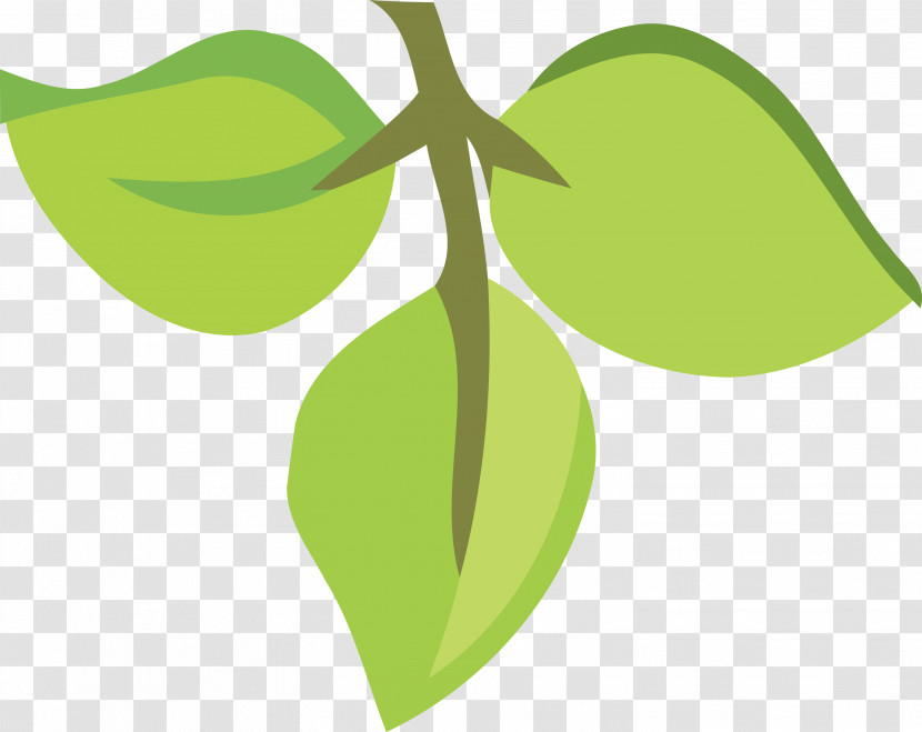 Leaf Plant Stem Green Flora Text Transparent PNG