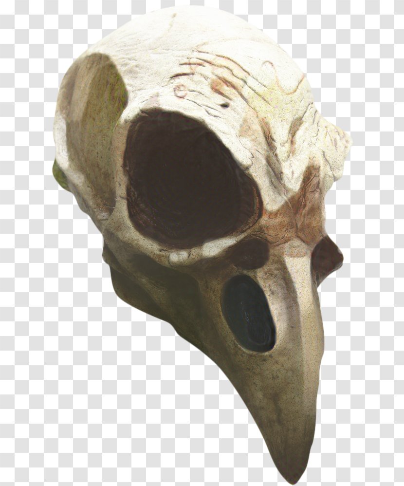 Skull - Ear - Headgear Transparent PNG