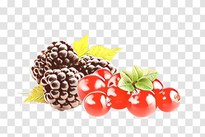 Berry Natural Foods Blackberry Fruit Food Transparent PNG