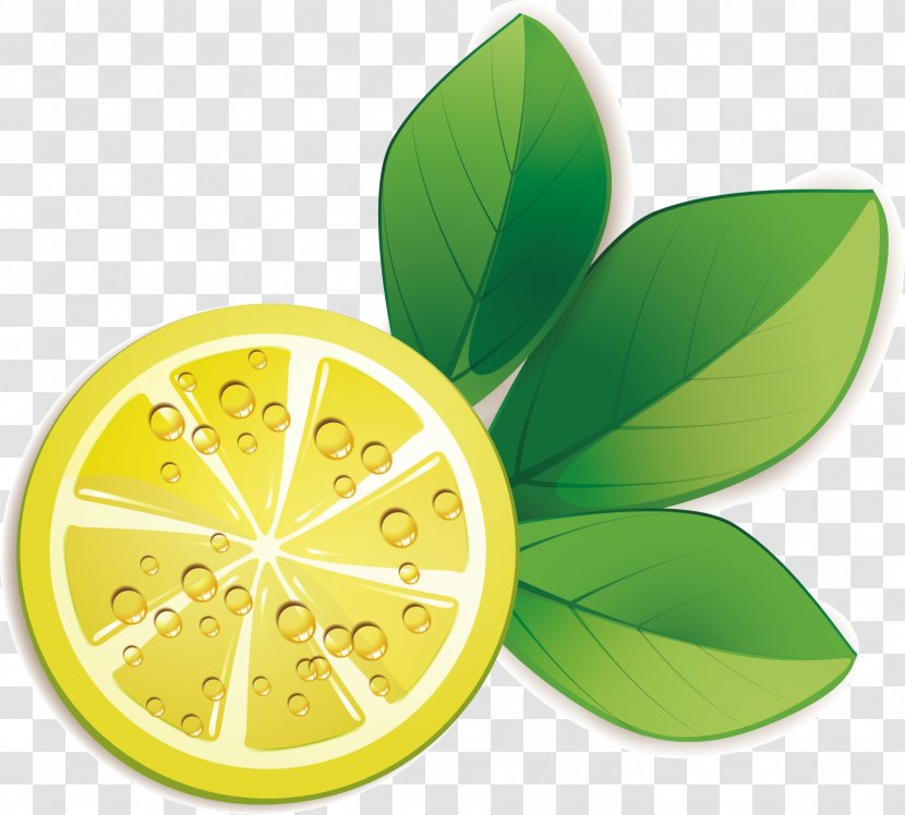 Lemon Rodaja De Limxf3n - Auglis - Slice Material Transparent PNG