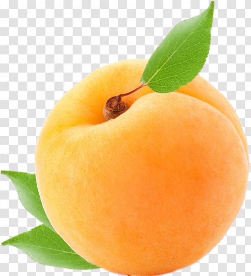 Apricot Food Peach Fruit Plum Transparent PNG