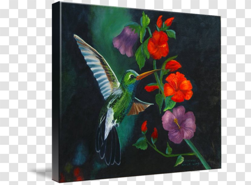 Painting Hummingbird M - Flower Transparent PNG