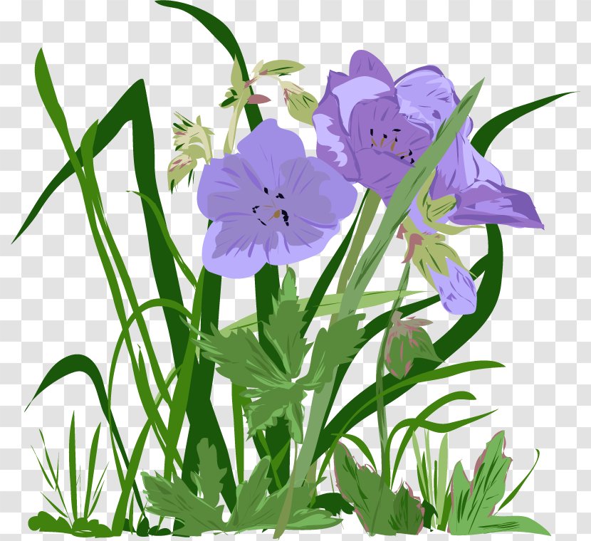Harebell Bellflower Plant Stem Cut Flowers Herbaceous - Frame - Einfach Nur Eine Wiese Transparent PNG