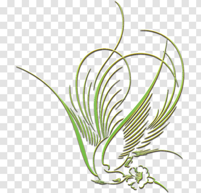 Plant Line Art Grasses Tree Clip - Islamic Motifs Transparent PNG