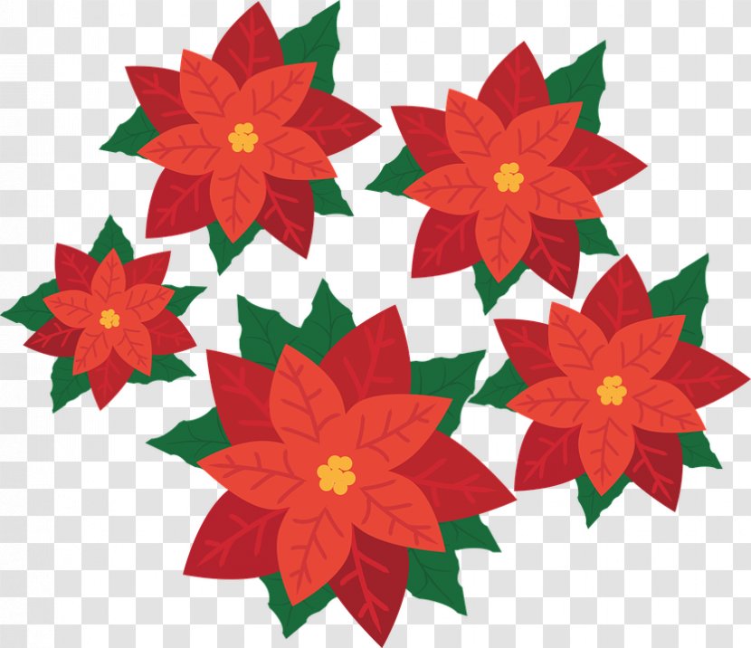 Poinsettia Flower Clip Art - Cartoon Transparent PNG